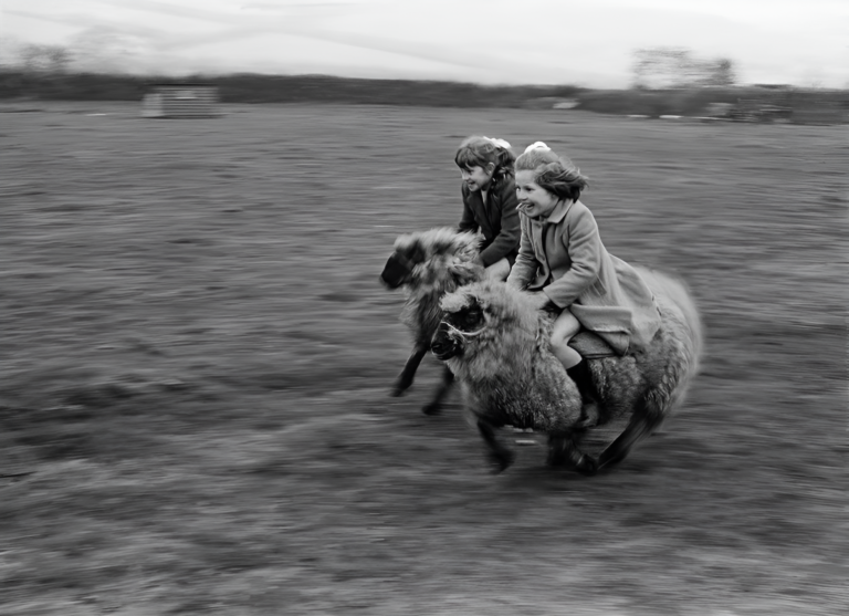50+ Must-See Moments In History