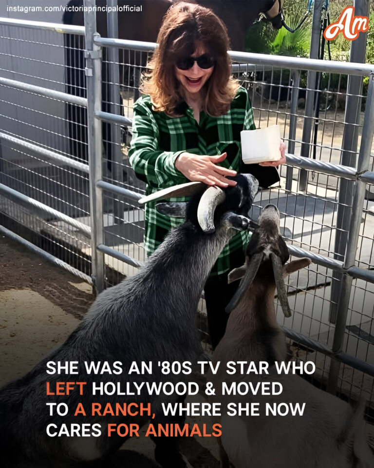 This Woman Was an 80s TV Star Who Left Hollywood & Now Takes Care of Animals on Her Ranch at 74 – Photo